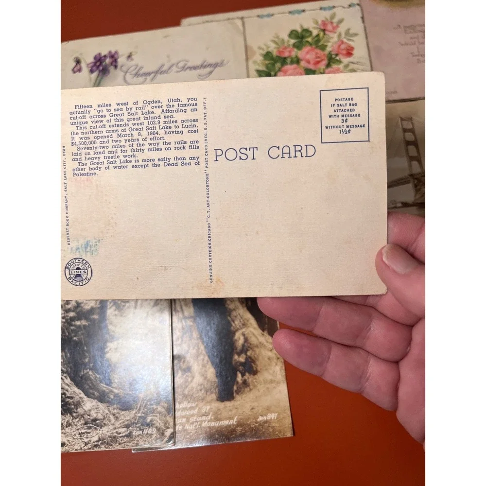 Lot Of 13 Antique/Vintage Embossed Floral Children Places Postcards Early 1900's